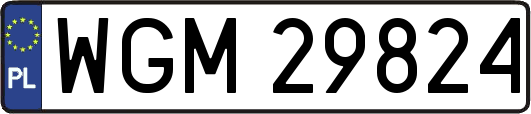 WGM29824