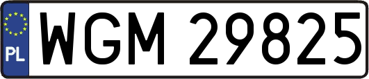 WGM29825