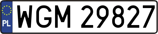 WGM29827