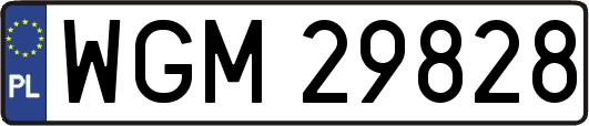WGM29828
