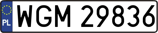 WGM29836