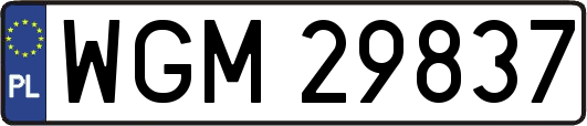 WGM29837