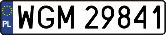 WGM29841
