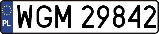 WGM29842