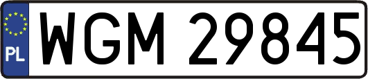 WGM29845