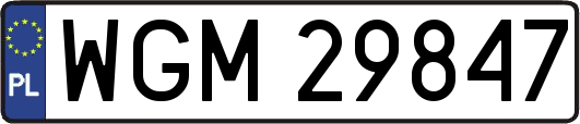 WGM29847