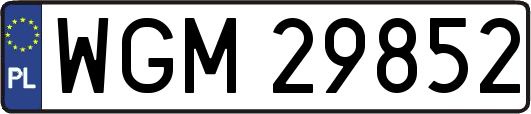 WGM29852
