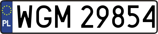 WGM29854