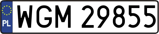 WGM29855