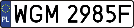 WGM2985F