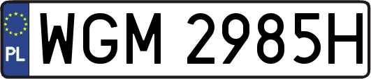 WGM2985H