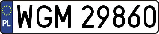 WGM29860