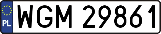WGM29861