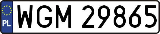 WGM29865