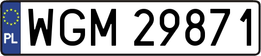 WGM29871
