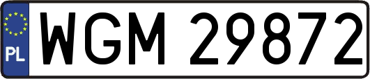 WGM29872