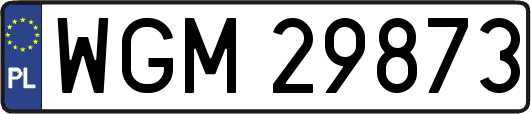 WGM29873