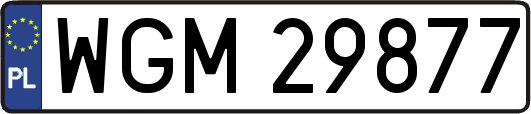 WGM29877