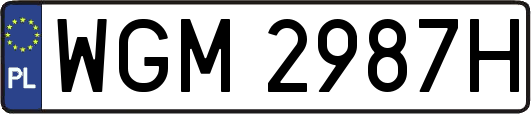 WGM2987H