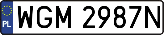 WGM2987N