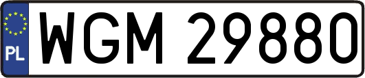 WGM29880