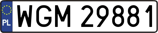 WGM29881