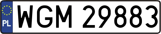 WGM29883