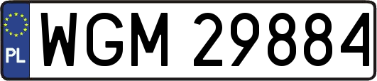 WGM29884