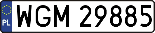 WGM29885