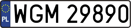 WGM29890