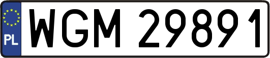 WGM29891