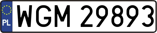 WGM29893