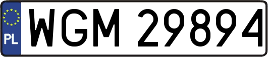 WGM29894