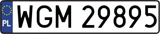 WGM29895