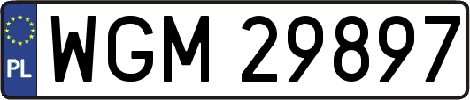 WGM29897