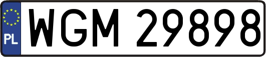WGM29898