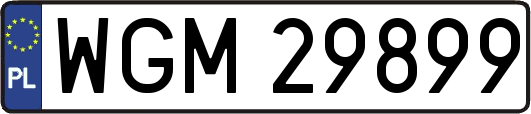 WGM29899