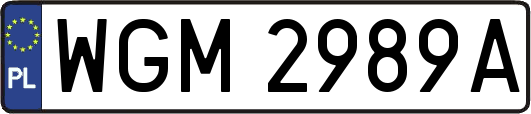 WGM2989A