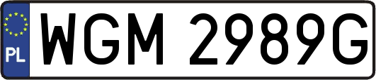 WGM2989G