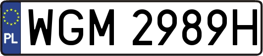 WGM2989H