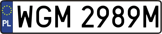 WGM2989M