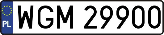 WGM29900