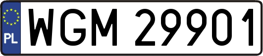 WGM29901