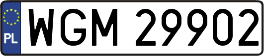 WGM29902