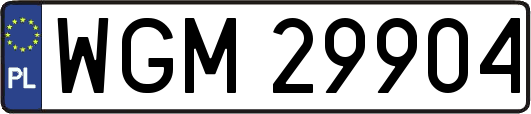 WGM29904