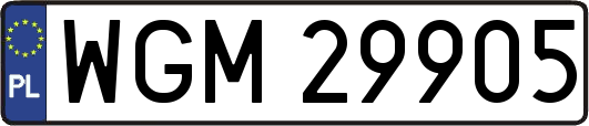 WGM29905