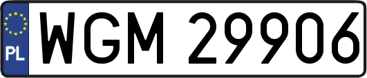 WGM29906