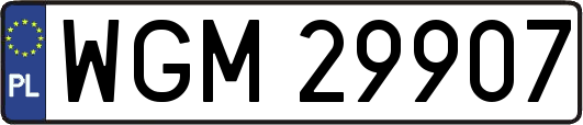 WGM29907