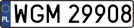 WGM29908