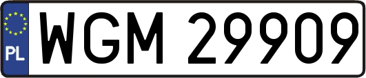 WGM29909
